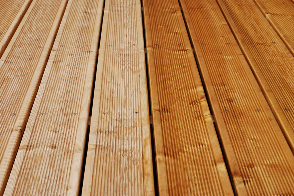 AdobeStock_22236405